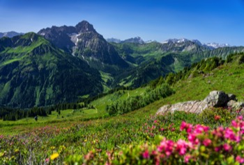  Im Hintergrund unser höchster Berg der 